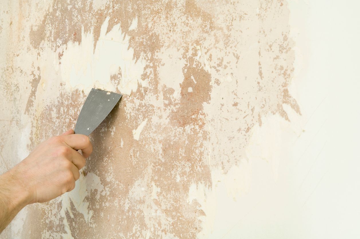 Professional Painters Inc wallpaper removal in Columbus OH